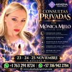 Consultas Privadas Monica Melo
